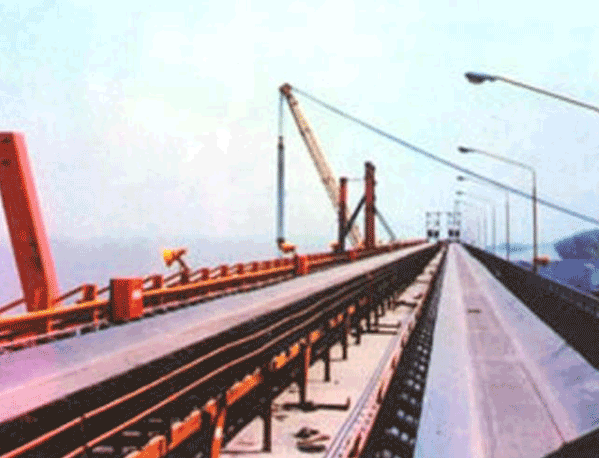 TD75型皮带番茄视频黄色APP下载链接机